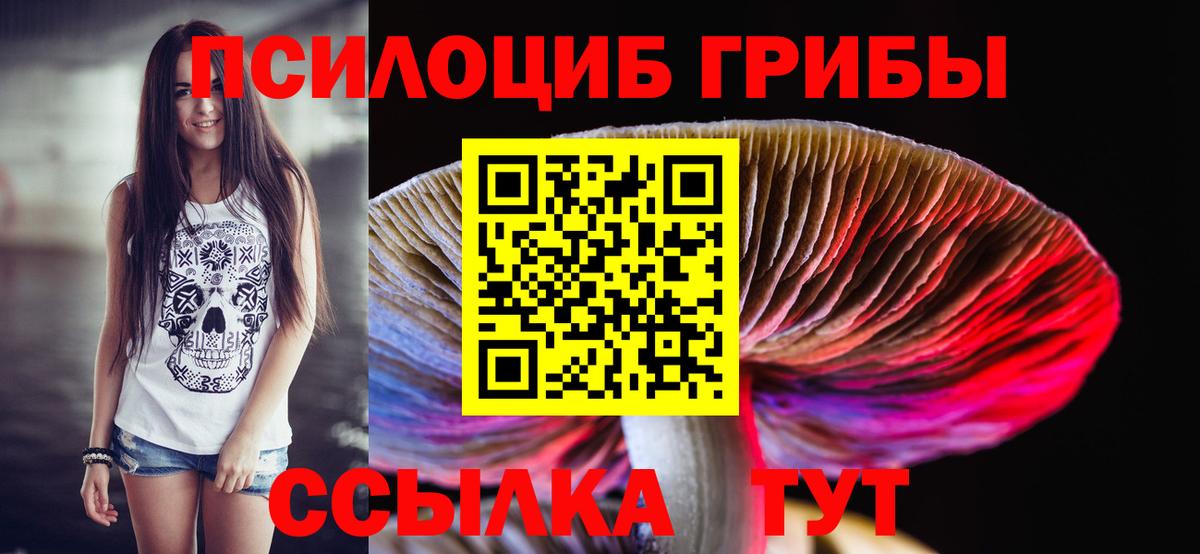 Галлюциногенные грибы GOLDEN TEACHER Долгопрудный