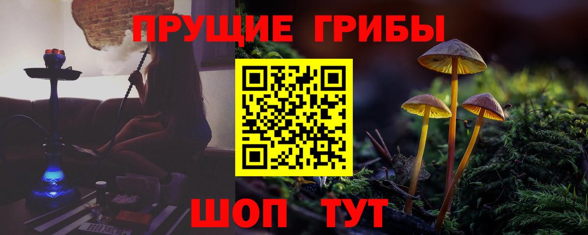 Псилоцибиновые грибы мухоморы  Вход с VPN  Долгопрудный 